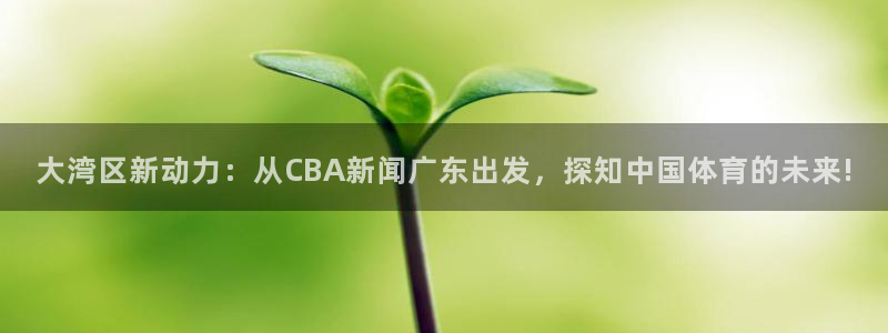 大湾区新动力：从CBA新闻广东出发，探知中国体育的未来!