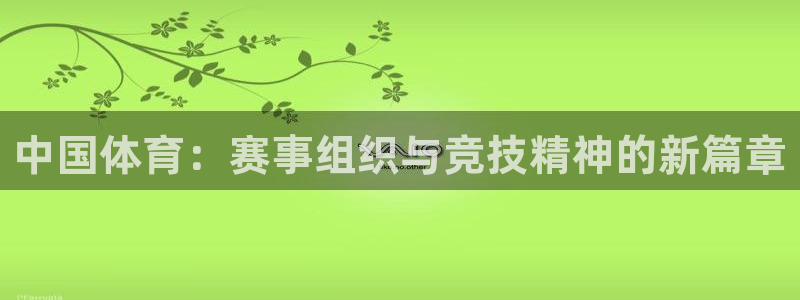 中国体育：赛事组织与竞技精神的新篇章