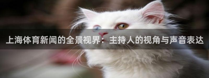 上海体育新闻的全景视界：主持人的视角与声音表达