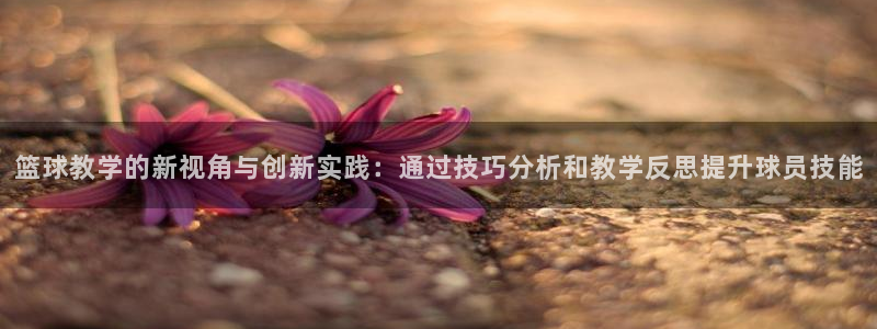 篮球教学的新视角与创新实践：通过技巧分析和教学反思提升球员技能