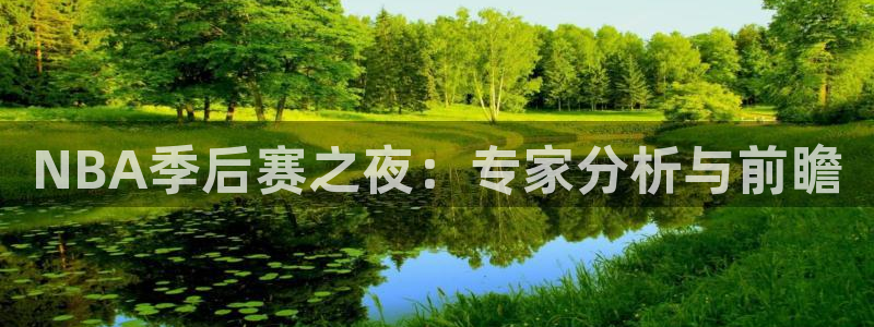NBA季后赛之夜：专家分析与前瞻