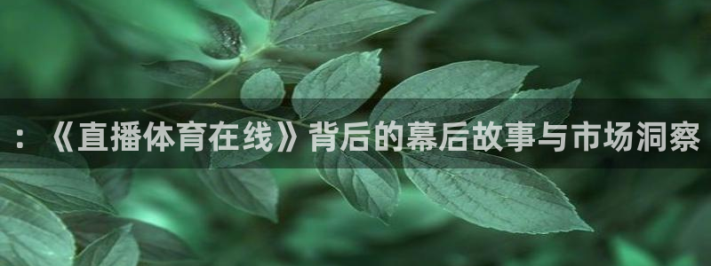 ：《直播体育在线》背后的幕后故事与市场洞察