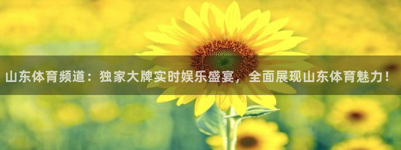 山东体育频道：独家大牌实时娱乐盛宴，全面展现山东体育魅力！