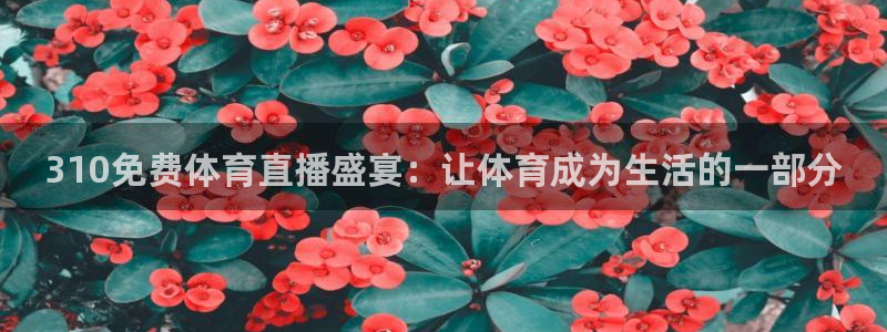 310免费体育直播盛宴：让体育成为生活的一部分