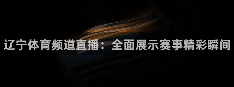 辽宁体育频道直播：全面展示赛事精彩瞬间