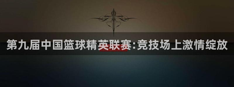 第九届中国篮球精英联赛:竞技场上激情绽放