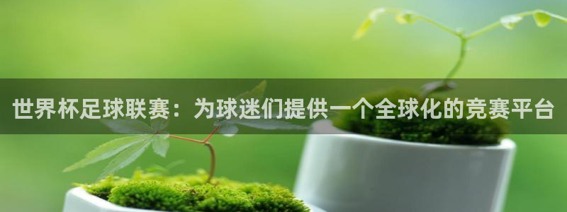 世界杯足球联赛：为球迷们提供一个全球化的竞赛平台