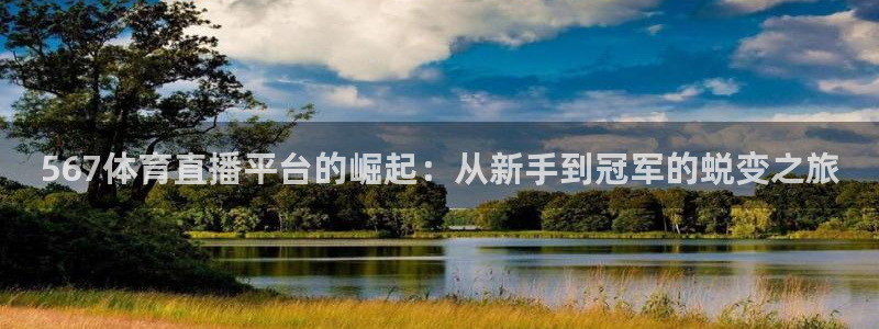 567体育直播平台的崛起：从新手到冠军的蜕变之旅