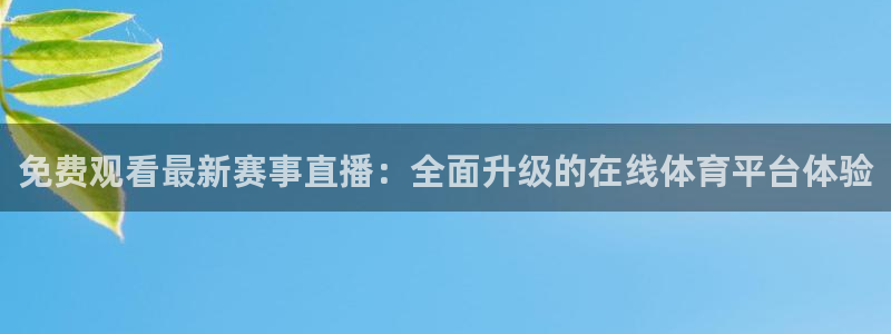 免费观看最新赛事直播：全面升级的在线体育平台体验