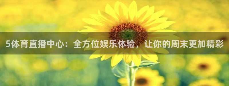 5体育直播中心：全方位娱乐体验，让你的周末更加精彩