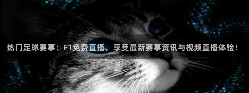 热门足球赛事：F1免费直播，享受最新赛事资讯与视频直播体验！