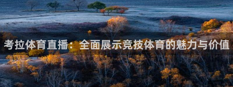 考拉体育直播：全面展示竞技体育的魅力与价值
