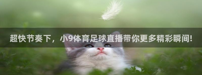 超快节奏下，小9体育足球直播带你更多精彩瞬间!