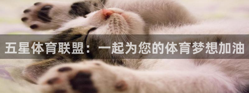 五星体育联盟：一起为您的体育梦想加油