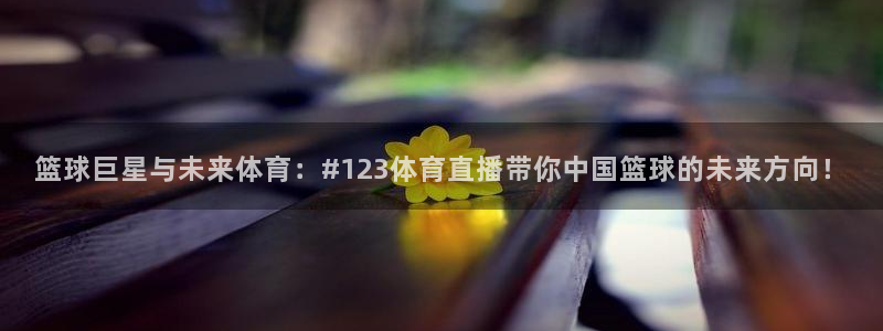 篮球巨星与未来体育：#123体育直播带你中国篮球的未来方向！