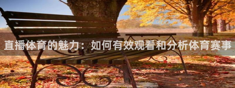 直播体育的魅力：如何有效观看和分析体育赛事