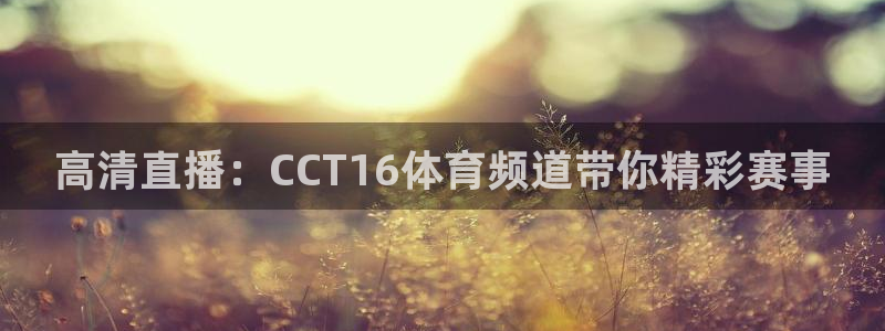 高清直播：CCT16体育频道带你精彩赛事