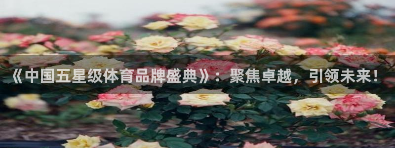 《中国五星级体育品牌盛典》：聚焦卓越，引领未来！