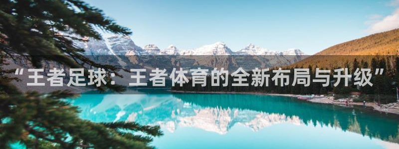 “王者足球：王者体育的全新布局与升级”