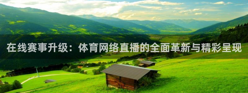 在线赛事升级：体育网络直播的全面革新与精彩呈现