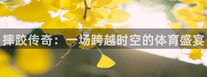 摔跤传奇：一场跨越时空的体育盛宴