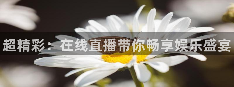超精彩：在线直播带你畅享娱乐盛宴