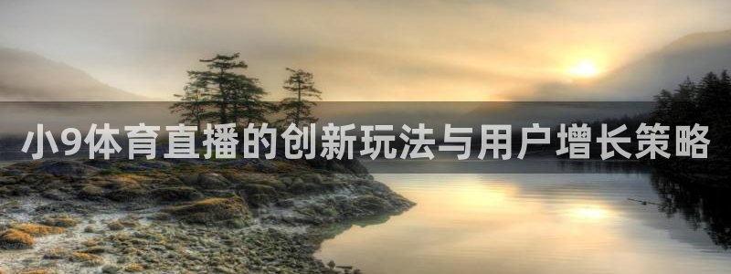 小9体育直播的创新玩法与用户增长策略