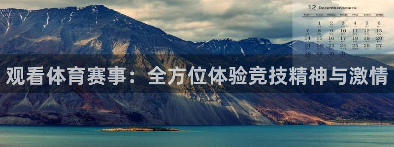 观看体育赛事：全方位体验竞技精神与激情