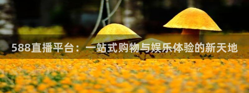 588直播平台：一站式购物与娱乐体验的新天地