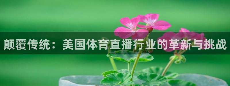 颠覆传统：美国体育直播行业的革新与挑战