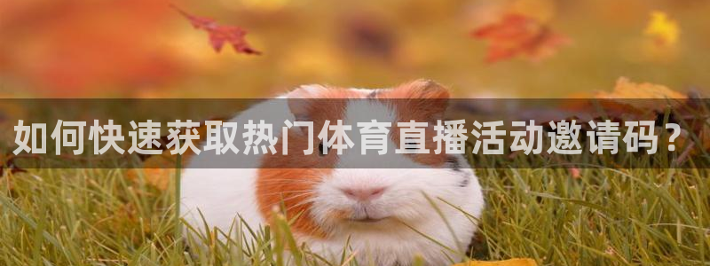 如何快速获取热门体育直播活动邀请码？