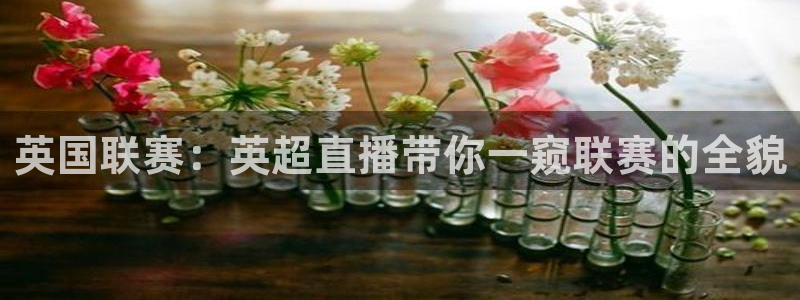 英国联赛：英超直播带你一窥联赛的全貌