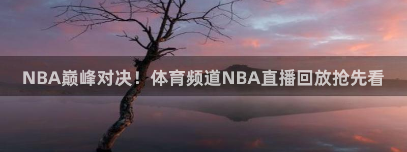 NBA巅峰对决！体育频道NBA直播回放抢先看