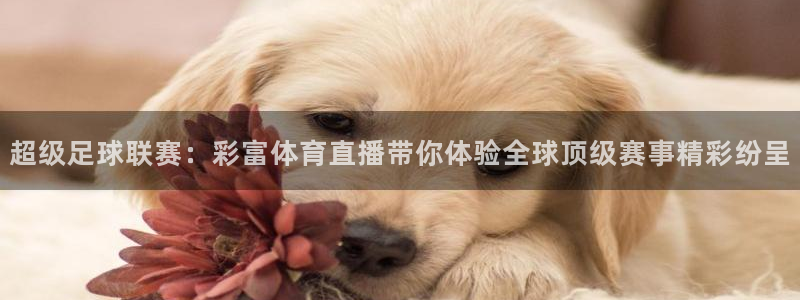 超级足球联赛：彩富体育直播带你体验全球顶级赛事精彩纷呈