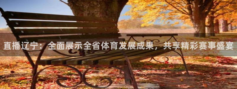 直播辽宁：全面展示全省体育发展成果，共享精彩赛事盛宴