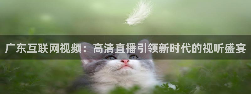 广东互联网视频：高清直播引领新时代的视听盛宴