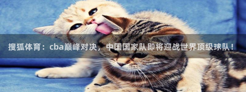 搜狐体育：cba巅峰对决，中国国家队即将迎战世界顶级球队！
