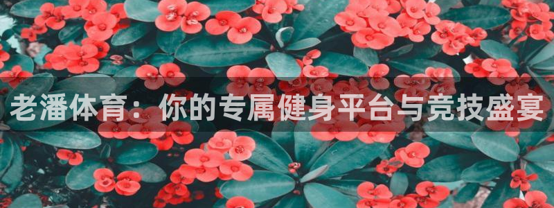 老潘体育：你的专属健身平台与竞技盛宴