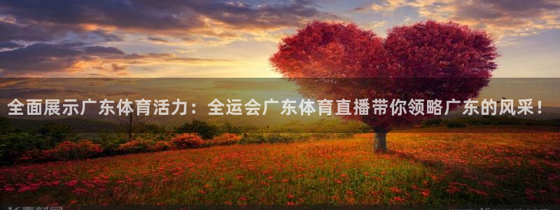 全面展示广东体育活力：全运会广东体育直播带你领略广东的风采！