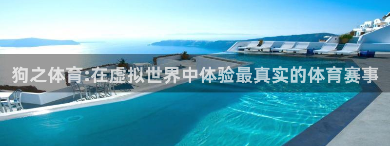 狗之体育:在虚拟世界中体验最真实的体育赛事