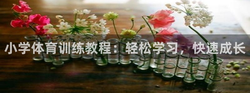 小学体育训练教程：轻松学习，快速成长