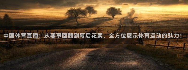 中国体育直播：从赛事回顾到幕后花絮，全方位展示体育运动的魅力！