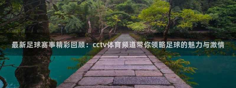 最新足球赛事精彩回顾：cctv体育频道带你领略足球的魅力与激情