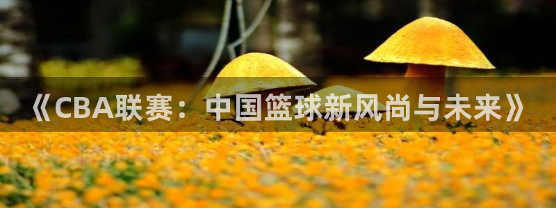 《CBA联赛：中国篮球新风尚与未来》