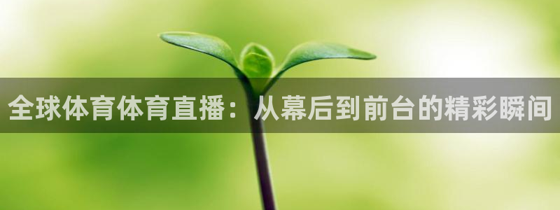 全球体育体育直播：从幕后到前台的精彩瞬间