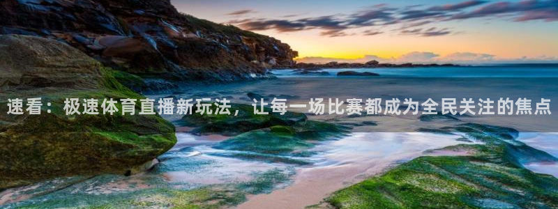 速看：极速体育直播新玩法，让每一场比赛都成为全民关注的焦点
