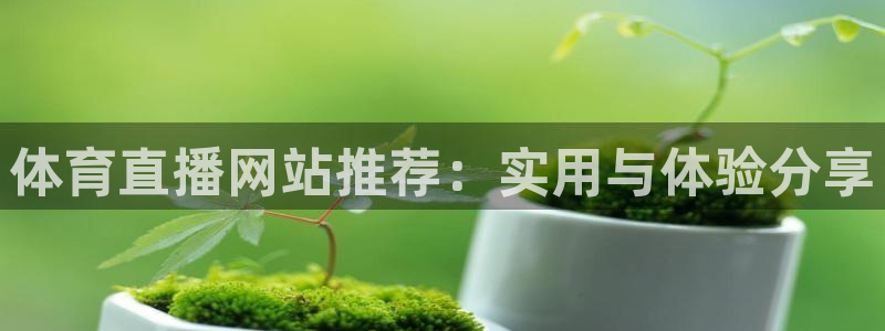 体育直播网站推荐：实用与体验分享
