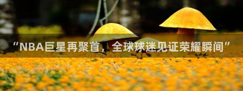 “NBA巨星再聚首，全球球迷见证荣耀瞬间”