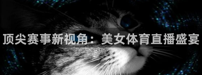 顶尖赛事新视角：美女体育直播盛宴