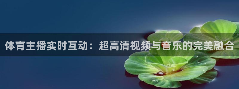体育主播实时互动：超高清视频与音乐的完美融合